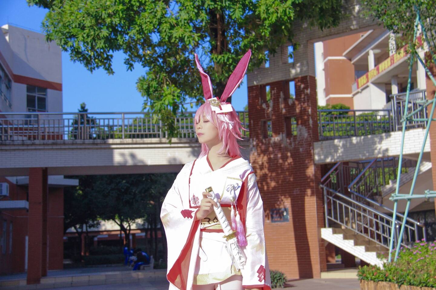 崩坏三场照八重樱无垢莲华