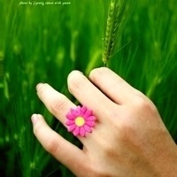 月影泡沫的头像-奈落语