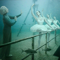 谢娜的头像-奈落语