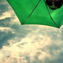 玫红花瓣的头像-奈落语