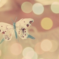 夏花绚烂的头像-奈落语